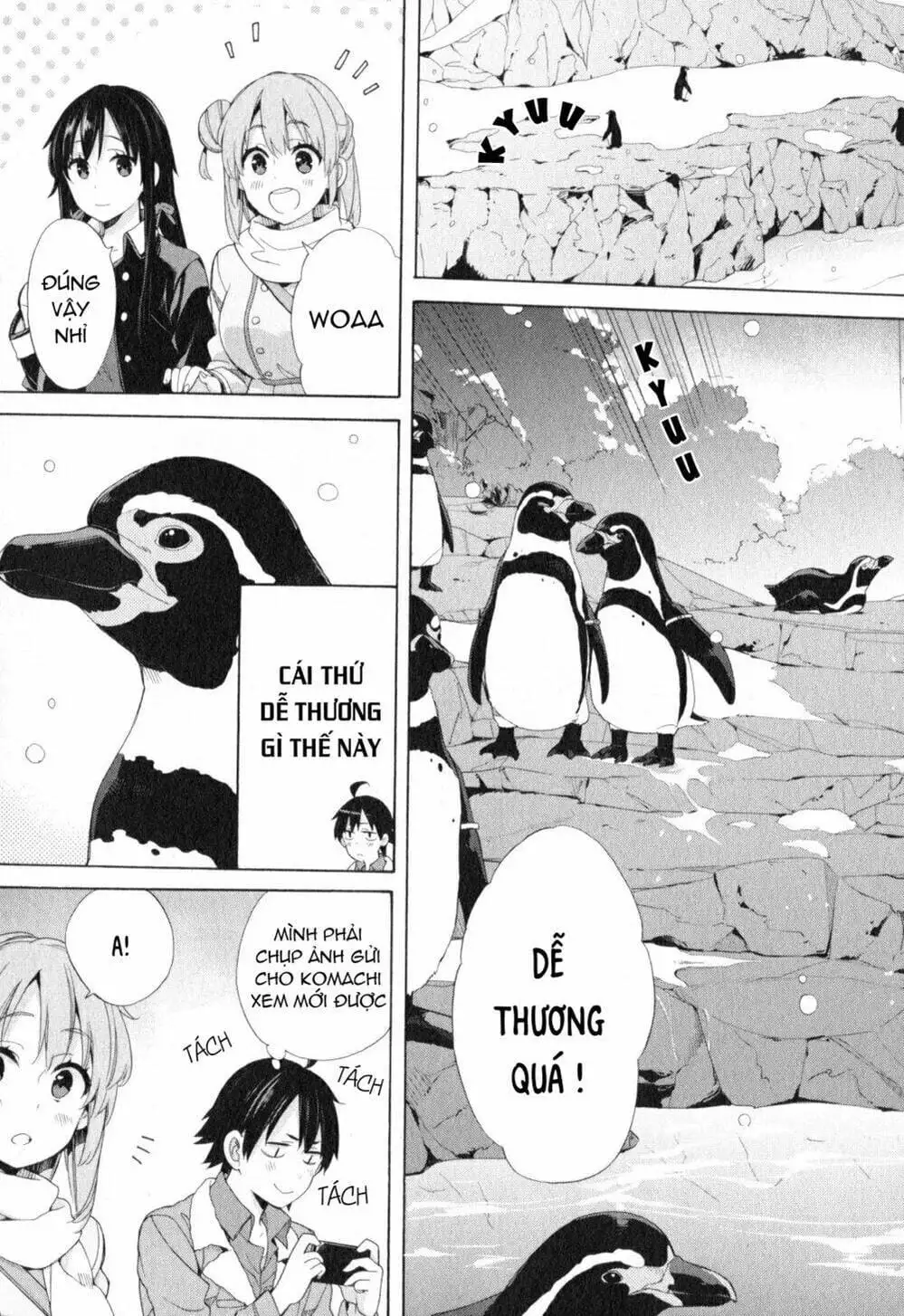 Truyện Tranh Chuyện Tình Thanh Xuân Bi Hài Của Tôi Quả Nhiên Là Sai Lầm - Oregairu trang 6