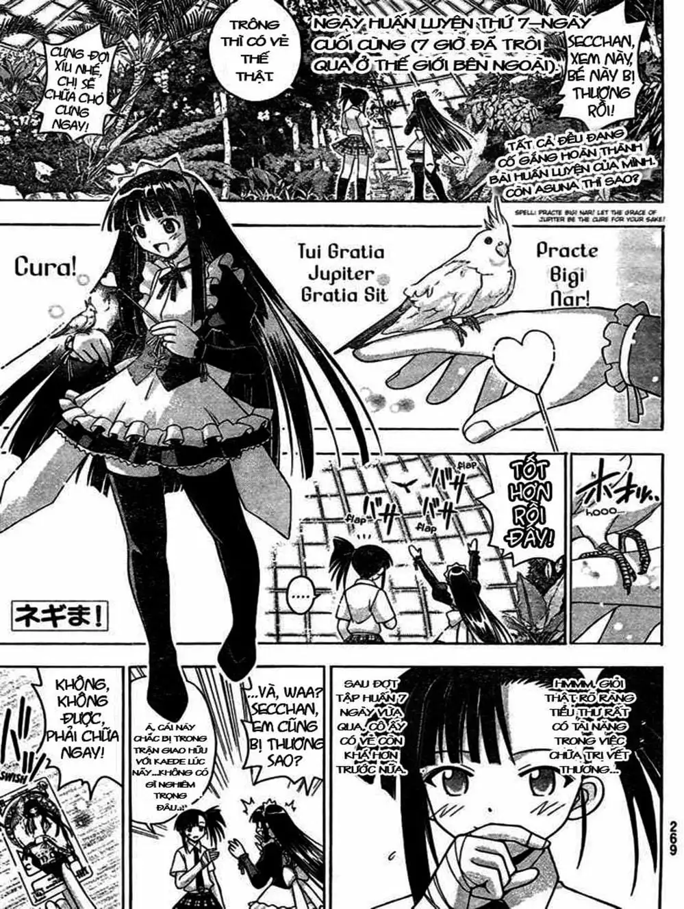 Truyện Tranh Pháp Sư Tí Hon Negima - Mahou Sensei Negima! trang 10