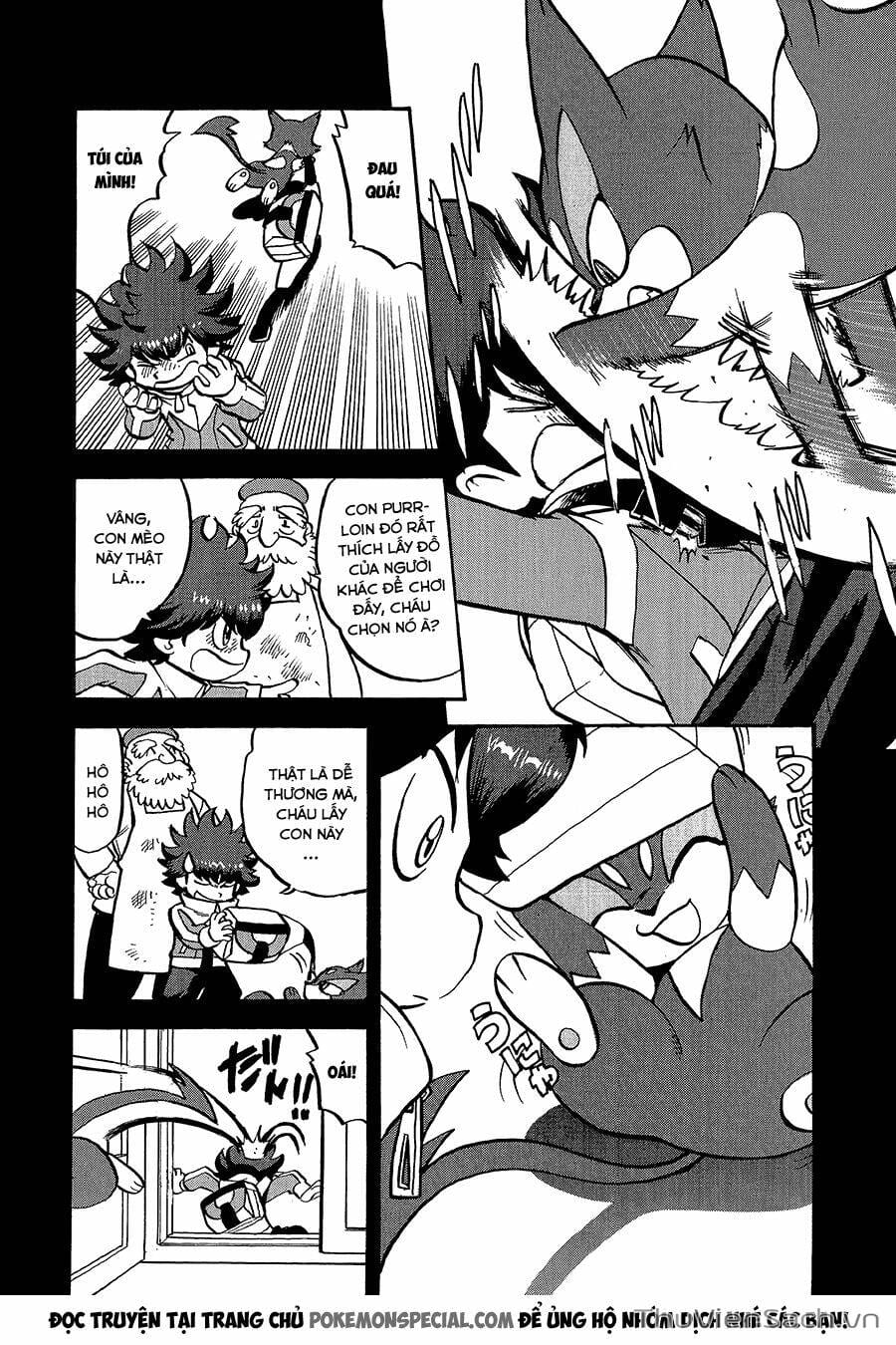 Truyện Tranh Thú Cưng Đặc Biệt - Pokemon Special trang 5