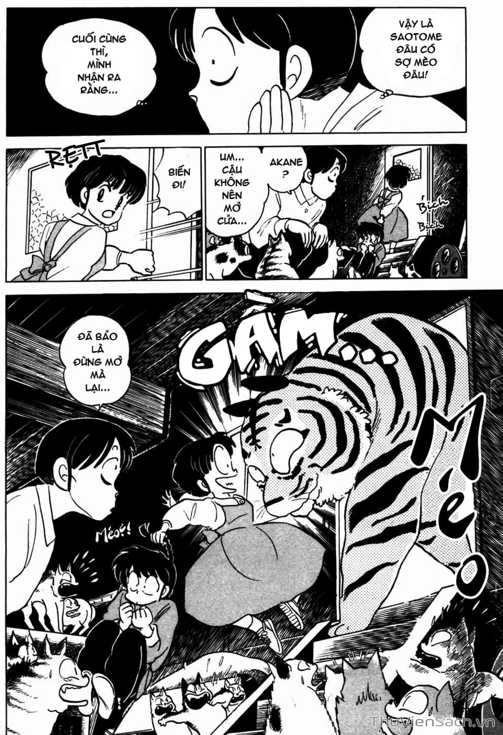 Truyện Tranh Một Nửa Ranma trang 4