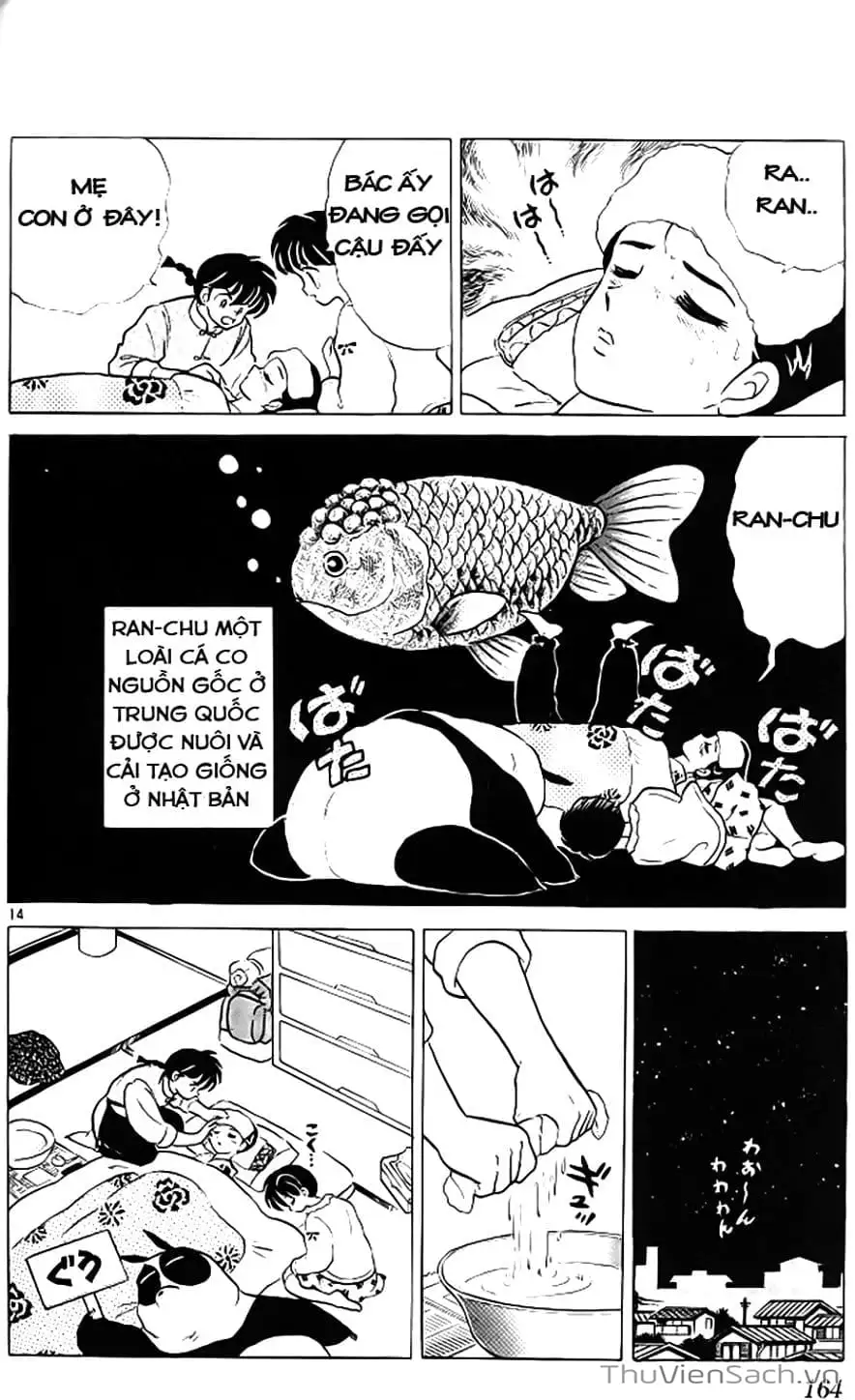 Truyện Tranh Một Nửa Ranma trang 4