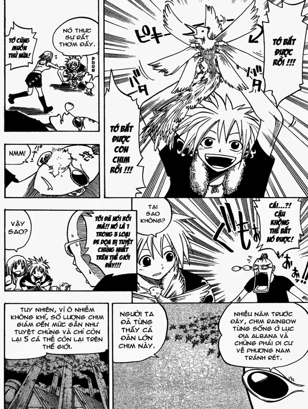 Truyện Tranh Thánh Thạch Rave - Rave Master trang 8