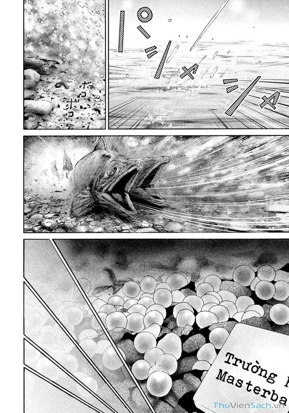 Truyện Tranh Người Cá Hồi - Salman trang 6