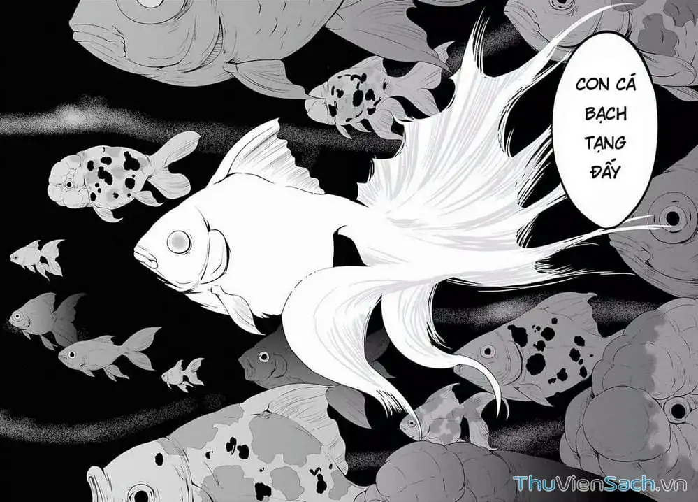 Truyện Tranh Cá Vàng Sát Thủ - Shibuya Kingyo trang 4