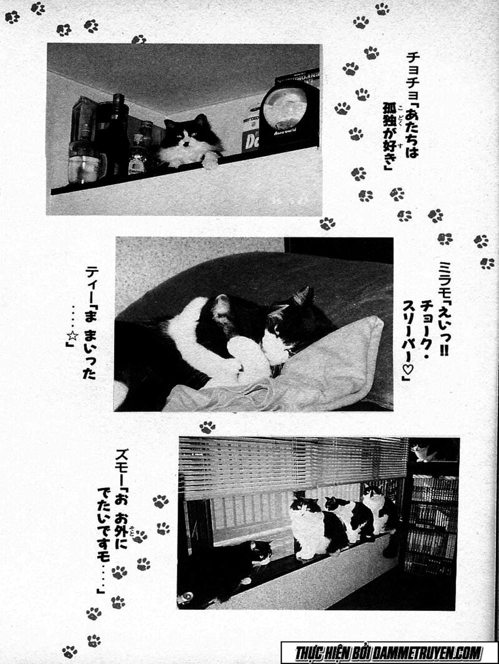 Truyện Tranh Đại Ca Đi Học Judo - Shin Kotaro Makaritoru! Juudouhen trang 5