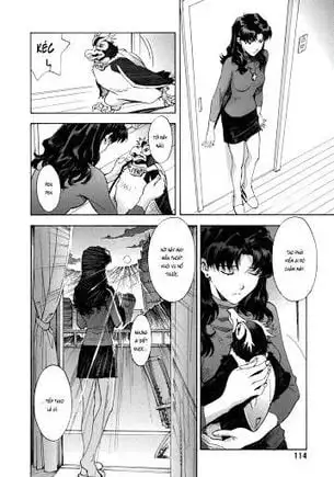 Truyện Tranh Đặc Nhiệm Không Gian - Shin Seiki Evangelion trang 11