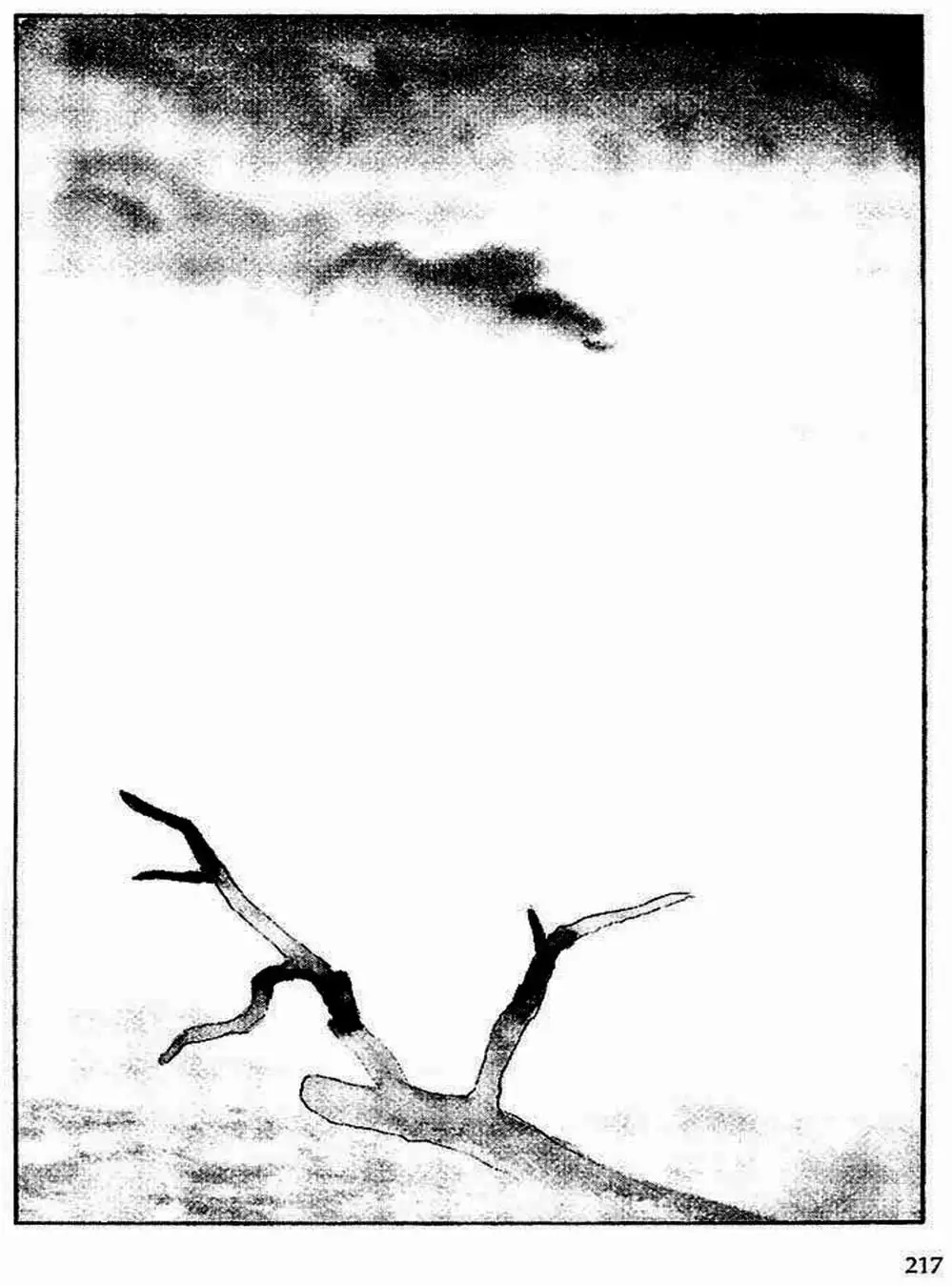 Truyện Tranh Sói Mang Con - Lone Wolf And Cub trang 5