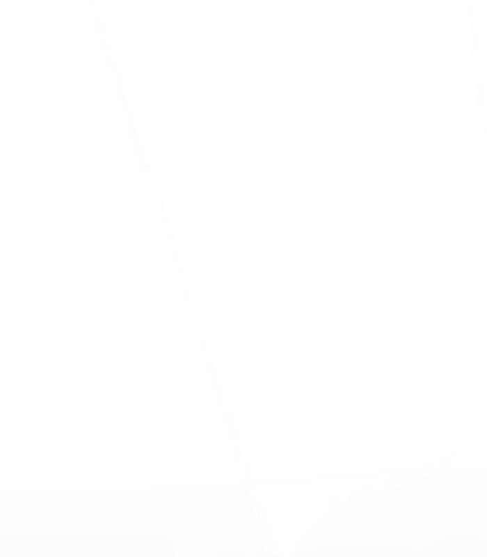 Truyện Tranh Solo Leveling Arise: Nguồn Gốc Của Thợ Săn trang 3