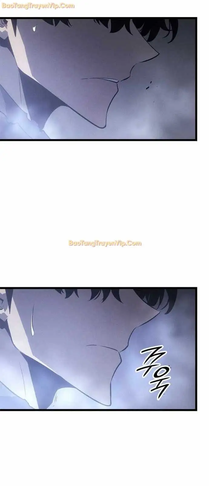 Truyện Tranh Solo Leveling - Tôi Thăng Cấp Một Mình: Tận Thế Ragnarok trang 3