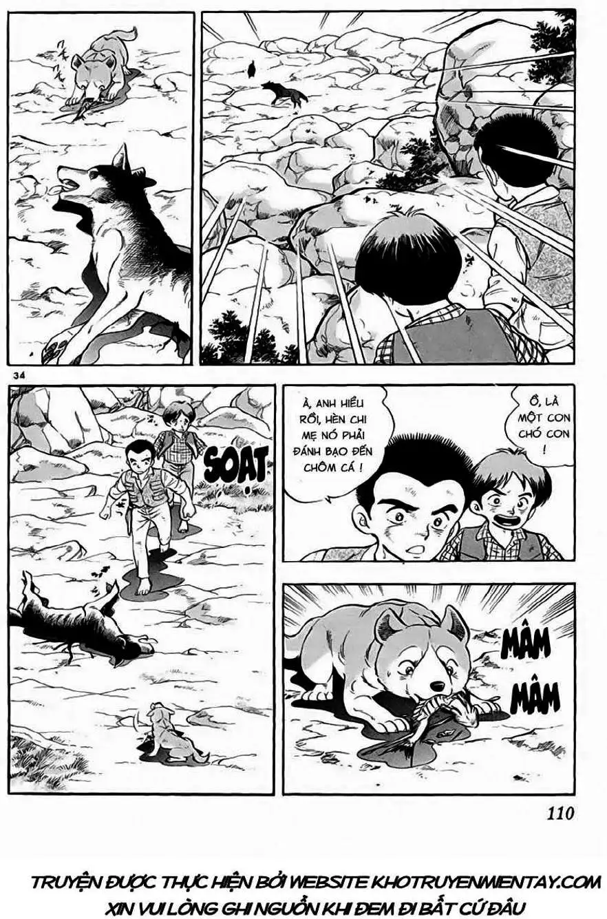 Truyện Tranh Sống Sót Trên Đảo Hoang - Survival In The Solitary Island trang 3
