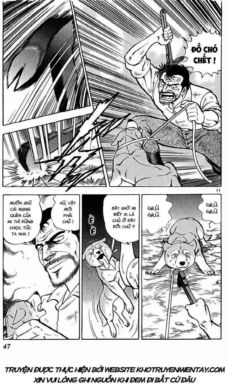 Truyện Tranh Sống Sót Trên Đảo Hoang - Survival In The Solitary Island trang 3
