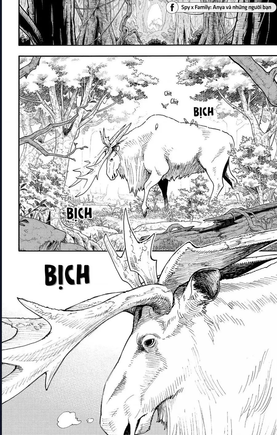 Truyện Tranh Gia Đình Điệp Viên - Spy X Family trang 5