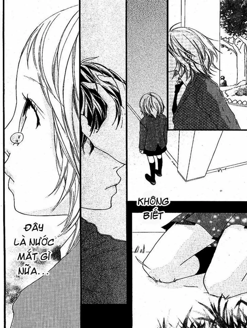 Truyện Tranh Tình Yêu Lấp Lánh - Strobe Edge trang 5