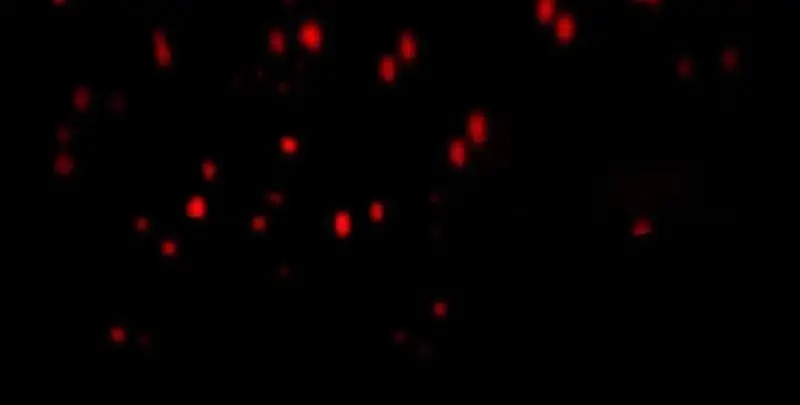 Truyện Tranh Ta Sáng Tạo Truyền Thuyết Đô Thị trang 4