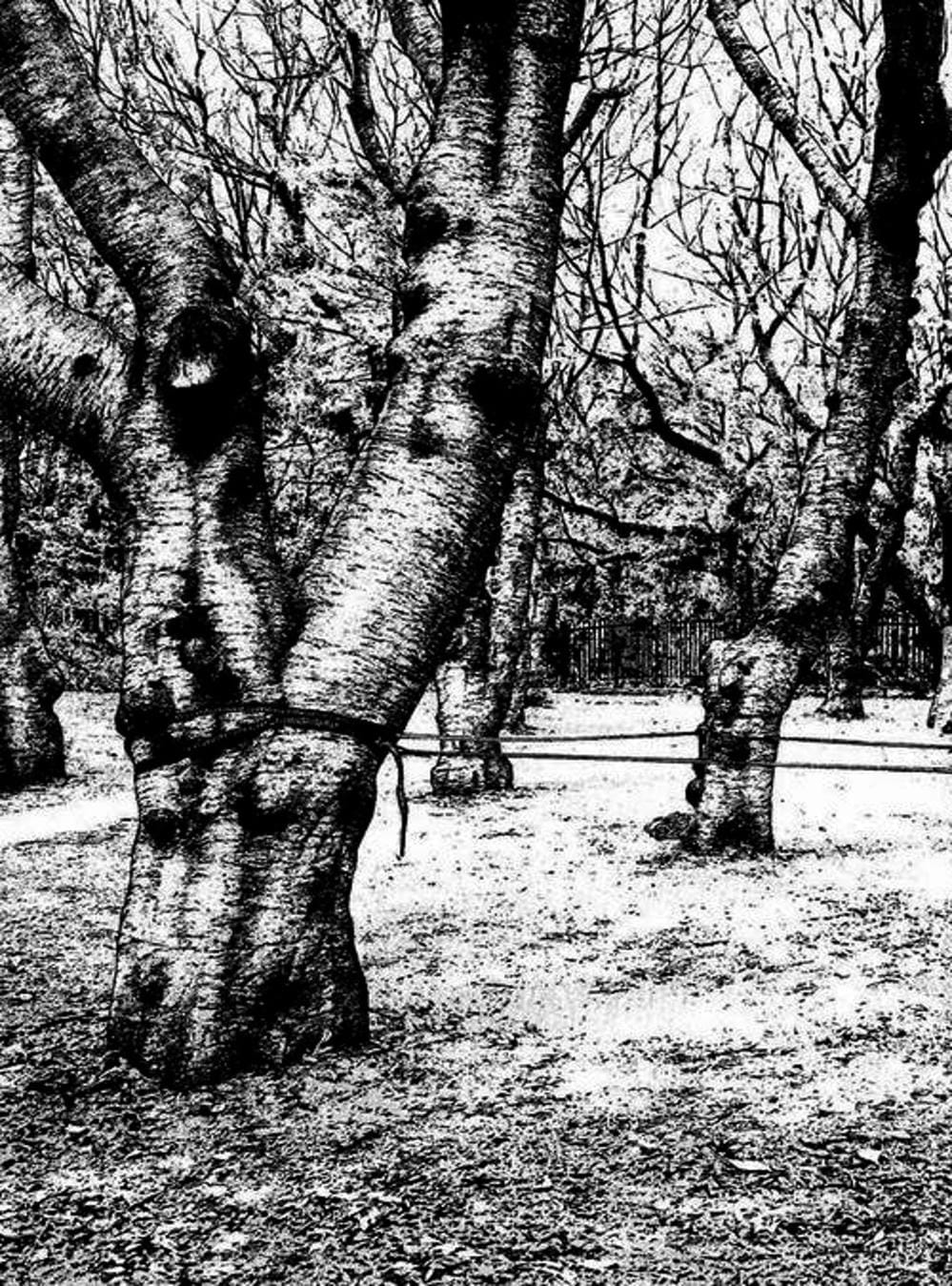 Truyện Tranh Người Cô Đơn - The Climber trang 7