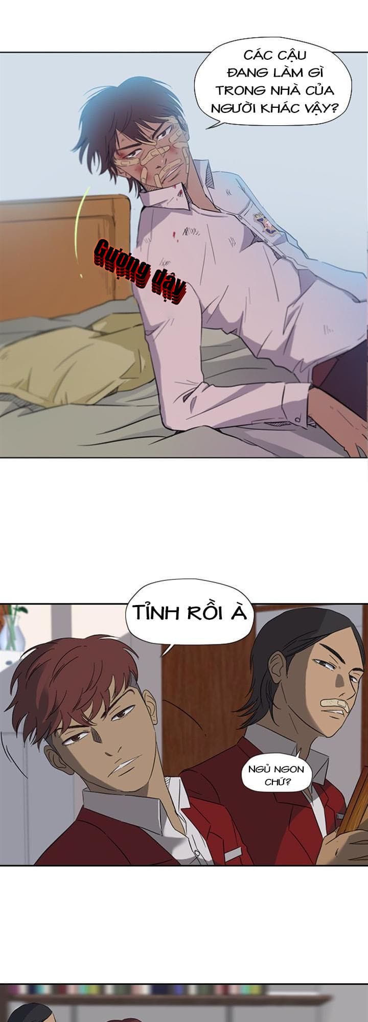 Truyện Tranh Thể Thao Cực Hạn - Wind Breaker trang 7