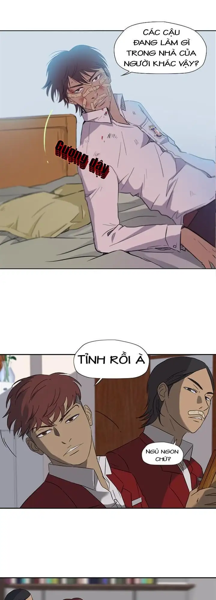 Truyện Tranh Thể Thao Cực Hạn - Wind Breaker trang 7