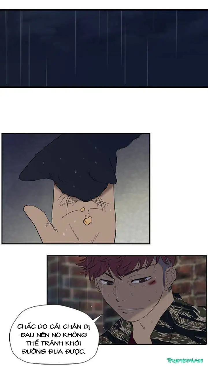 Truyện Tranh Thể Thao Cực Hạn - Wind Breaker trang 7
