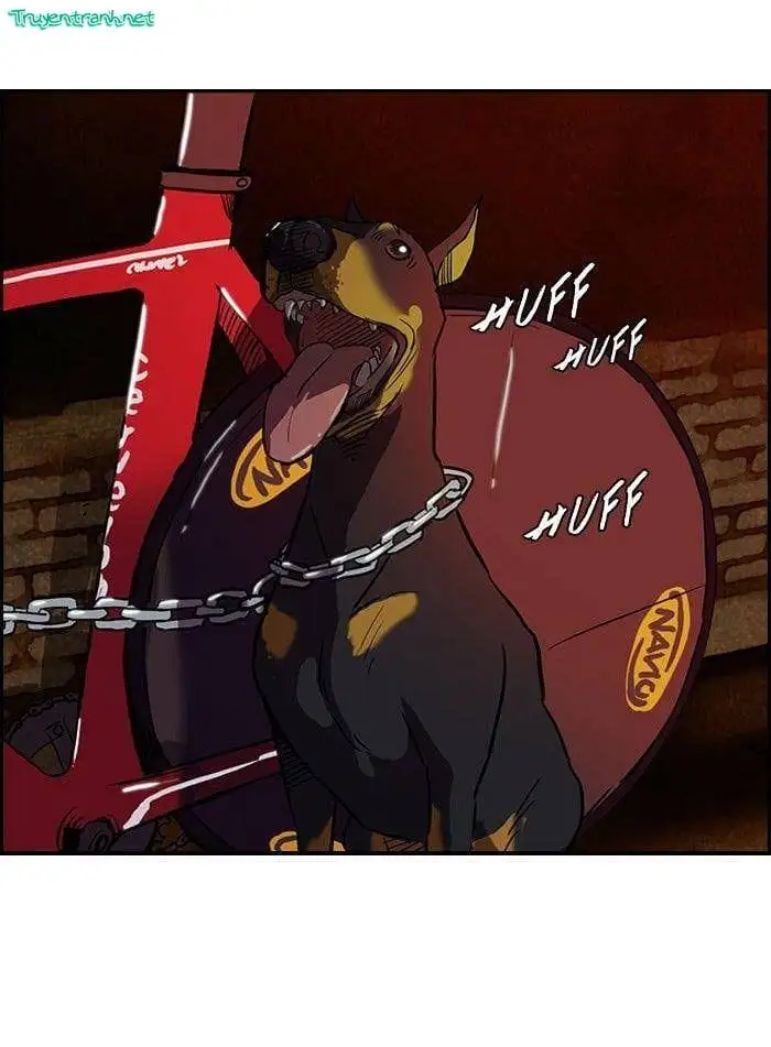 Truyện Tranh Thể Thao Cực Hạn - Wind Breaker trang 7