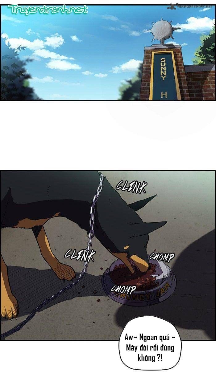 Truyện Tranh Thể Thao Cực Hạn - Wind Breaker trang 7