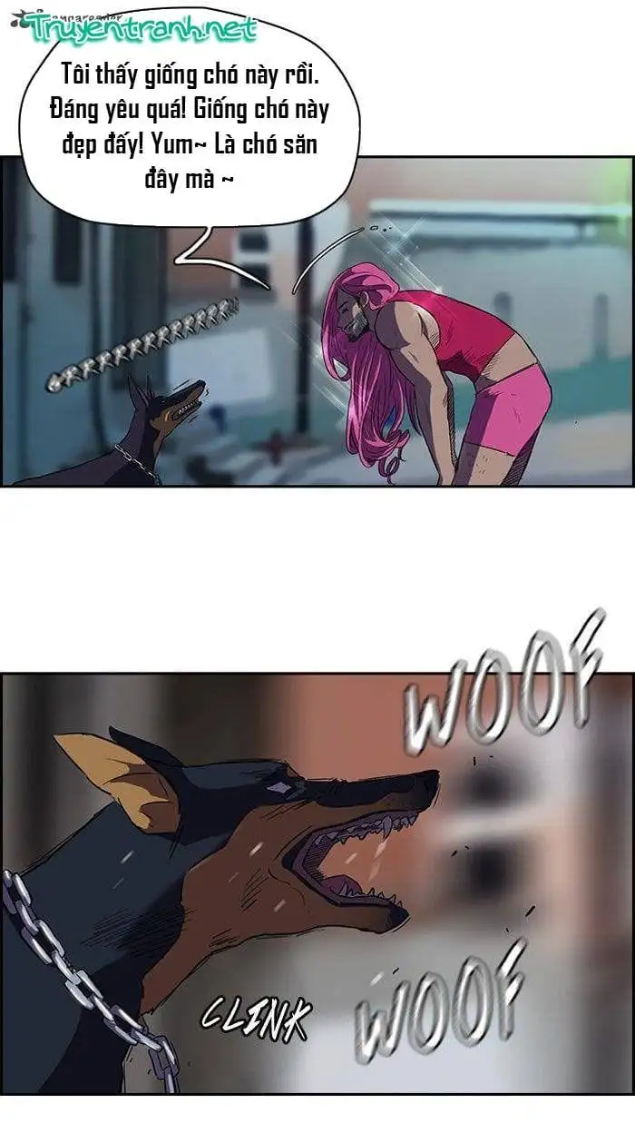 Truyện Tranh Thể Thao Cực Hạn - Wind Breaker trang 7