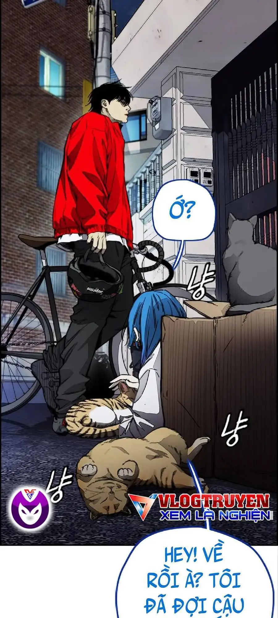 Truyện Tranh Thể Thao Cực Hạn - Wind Breaker trang 7