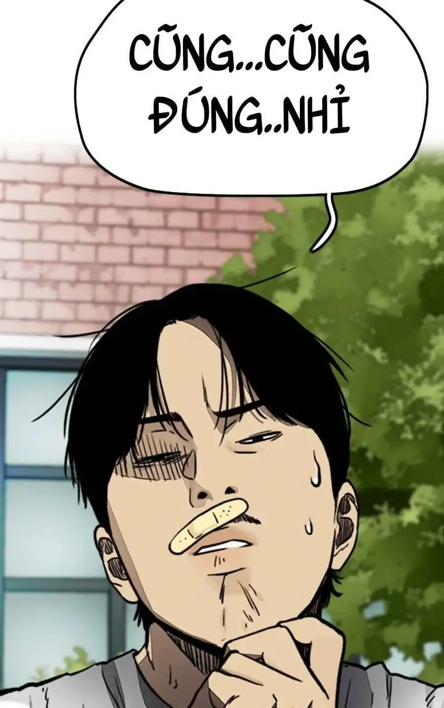 Truyện Tranh Thể Thao Cực Hạn - Wind Breaker trang 7