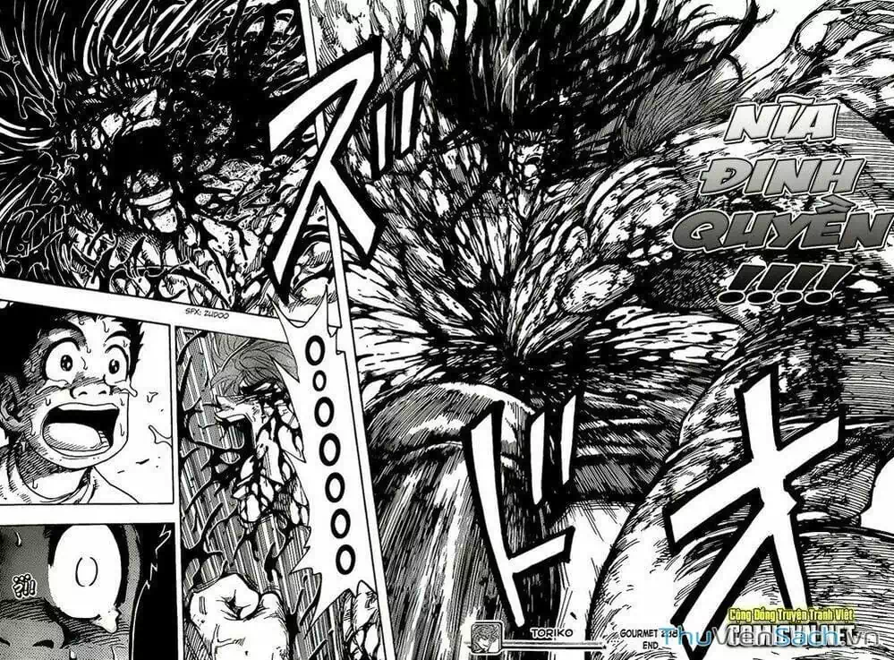 Truyện Tranh Thợ Săn Ẩm Thực - Toriko trang 5