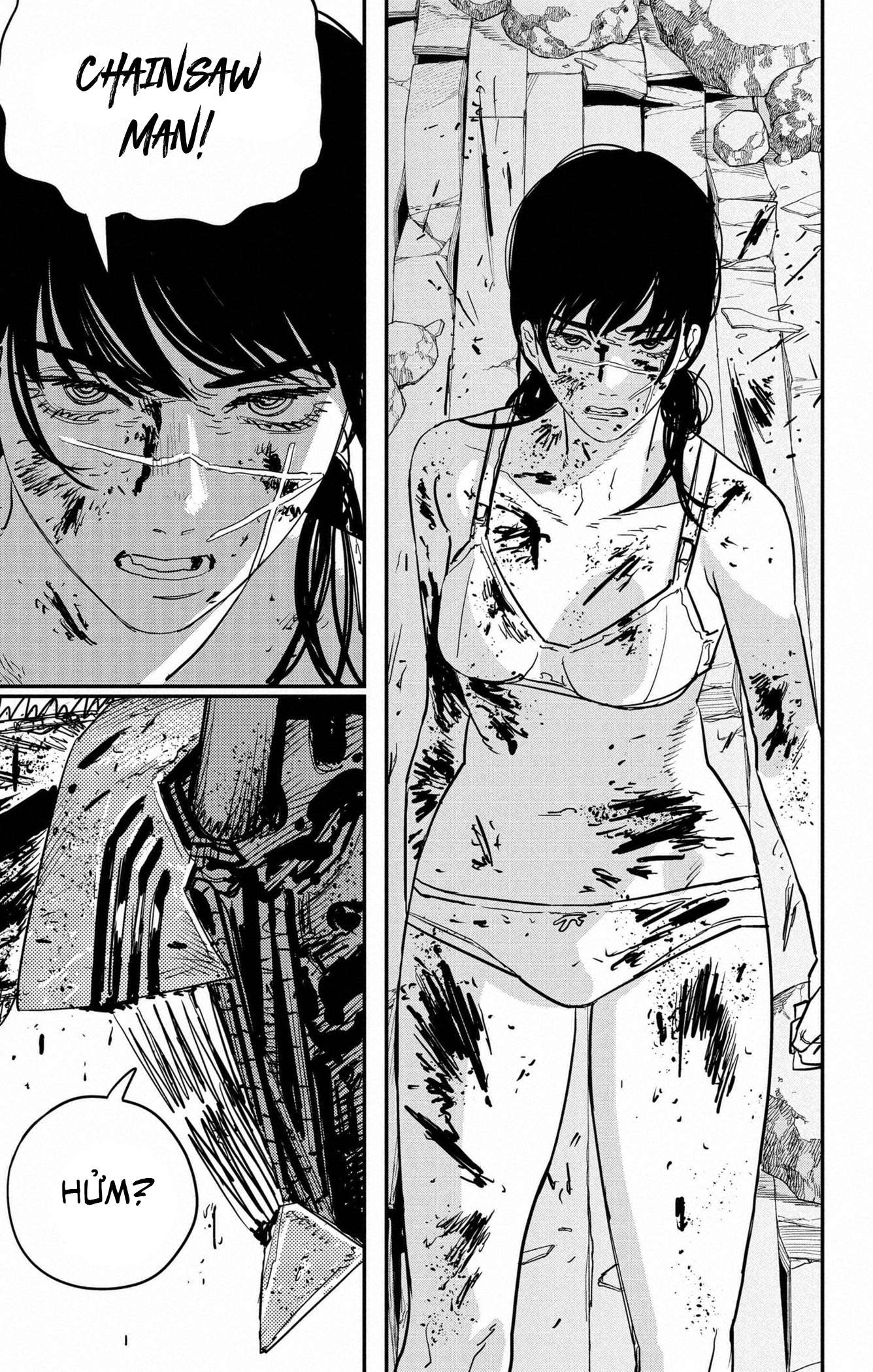 Truyện Tranh Thợ Săn Quỷ - Chainsaw Man trang 4
