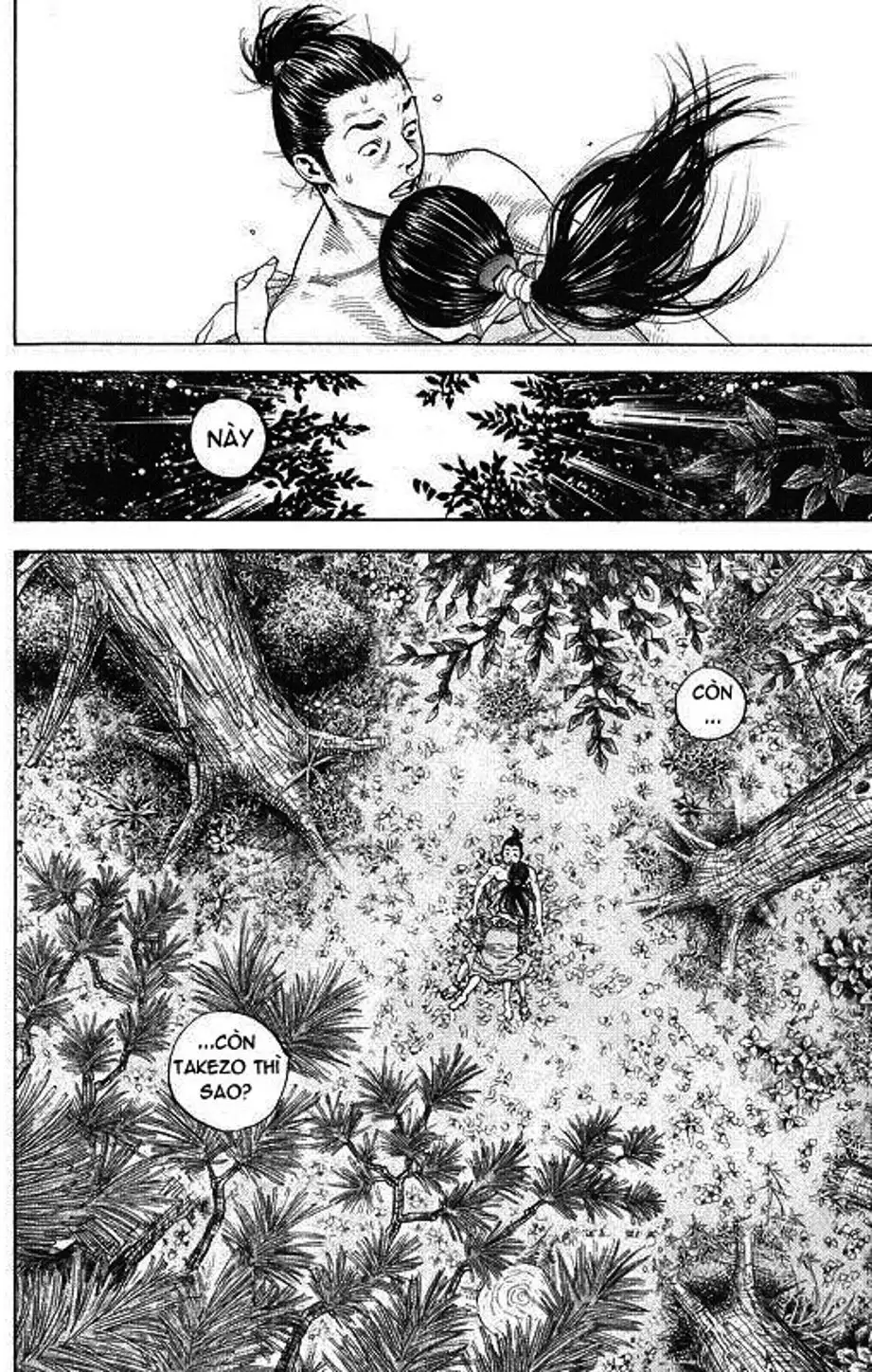Truyện Tranh Lãng Khách - Vagabond trang 4