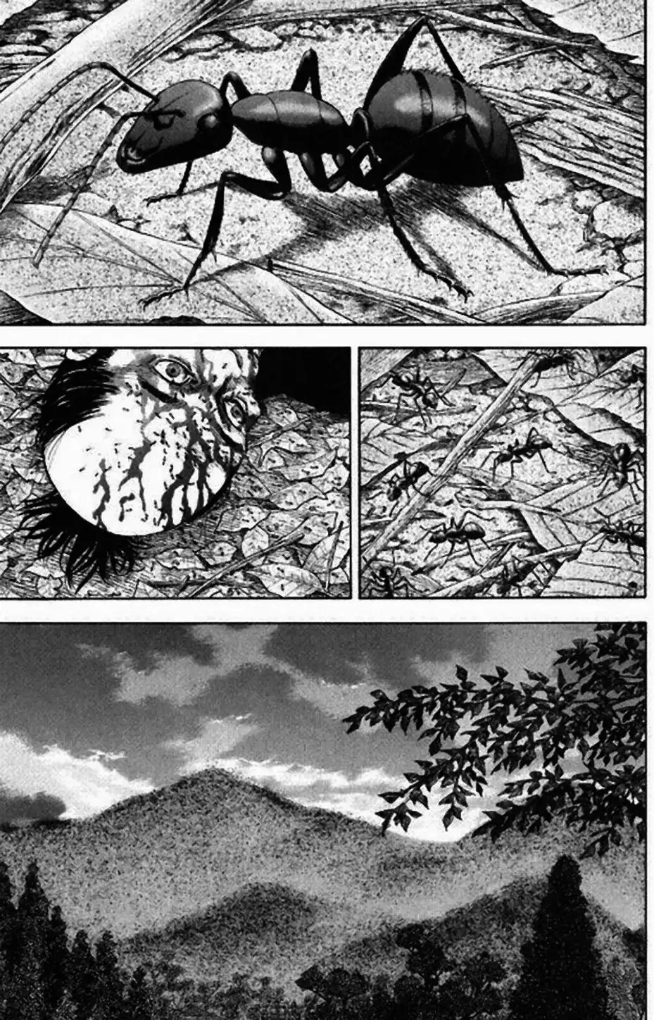 Truyện Tranh Lãng Khách - Vagabond trang 4