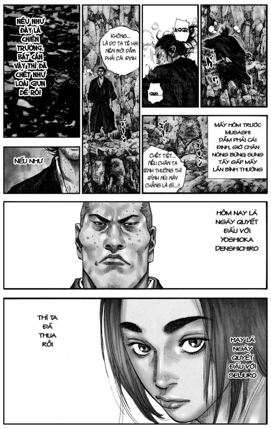 Truyện Tranh Lãng Khách - Vagabond trang 4