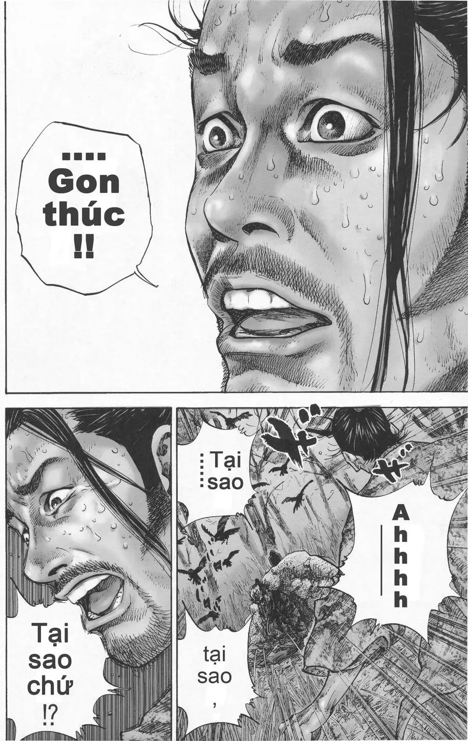Truyện Tranh Lãng Khách - Vagabond trang 4