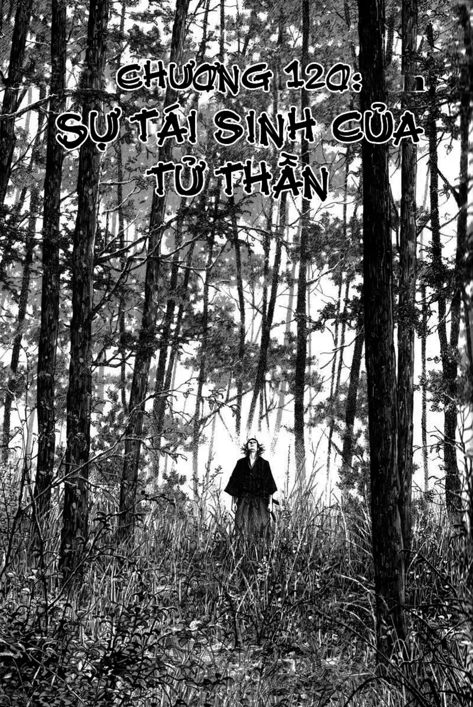 Truyện Tranh Lãng Khách - Vagabond trang 4