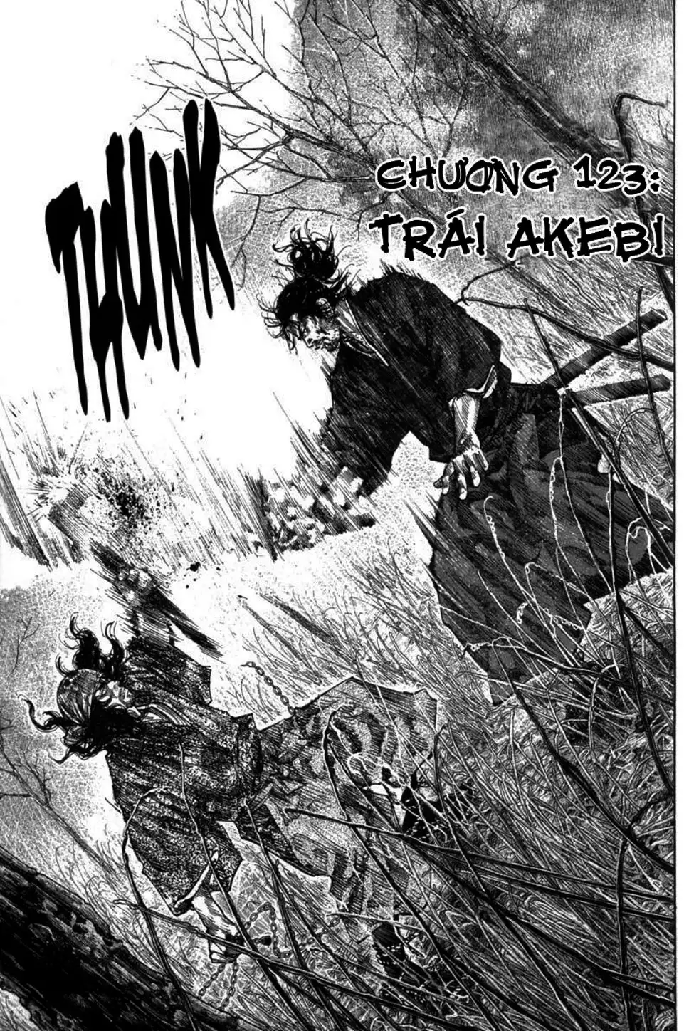 Truyện Tranh Lãng Khách - Vagabond trang 4