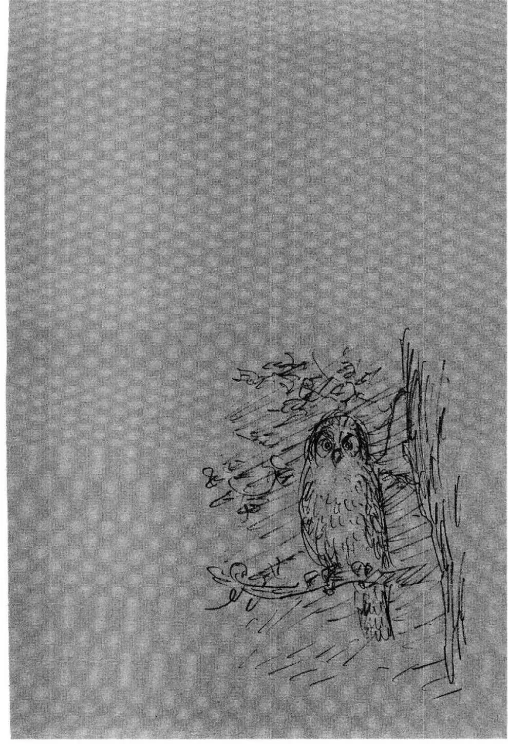 Truyện Tranh Lãng Khách - Vagabond trang 4