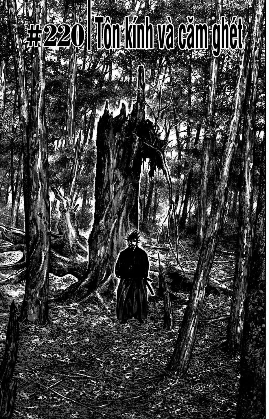 Truyện Tranh Lãng Khách - Vagabond trang 4