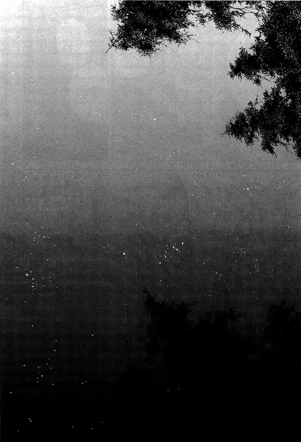 Truyện Tranh Lãng Khách - Vagabond trang 4