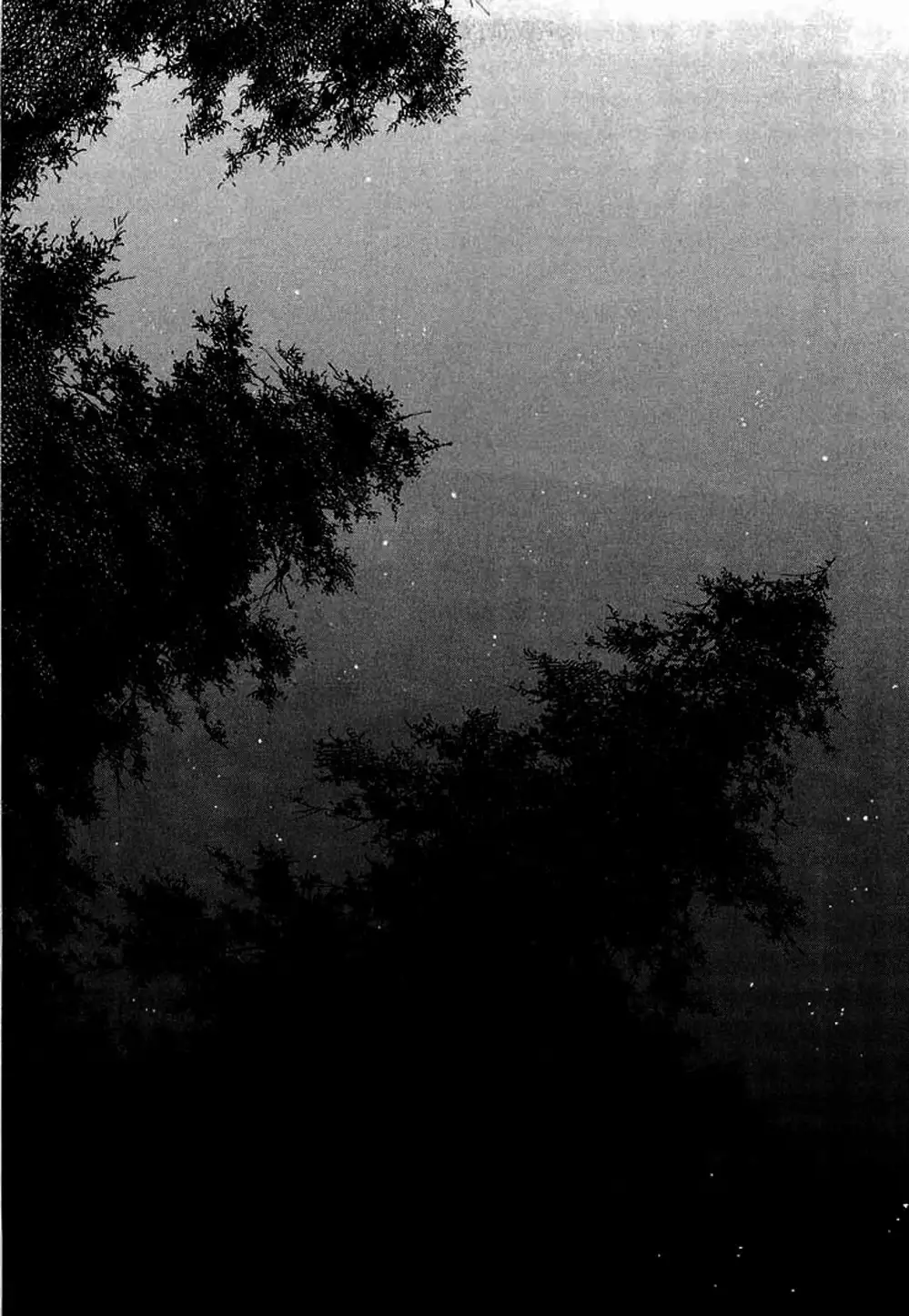 Truyện Tranh Lãng Khách - Vagabond trang 4