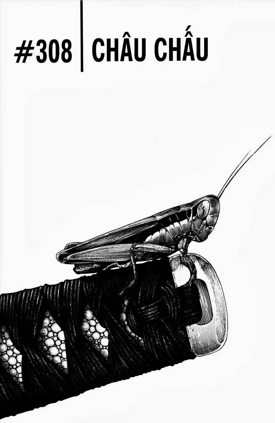 Truyện Tranh Lãng Khách - Vagabond trang 4