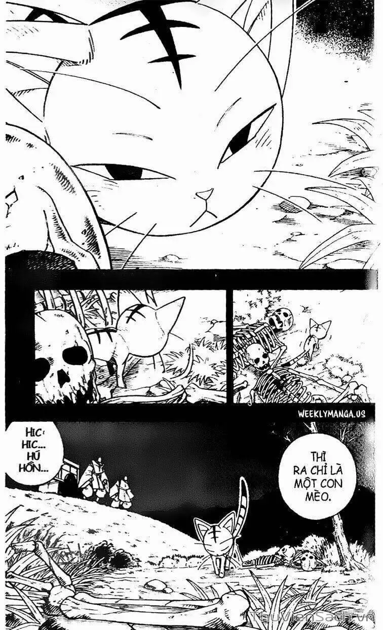 Truyện Tranh Vua Pháp Thuật - Shaman King trang 5