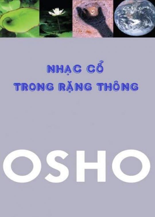 Ảnh bìa sách Nhạc Cổ Trong Rặng Thông