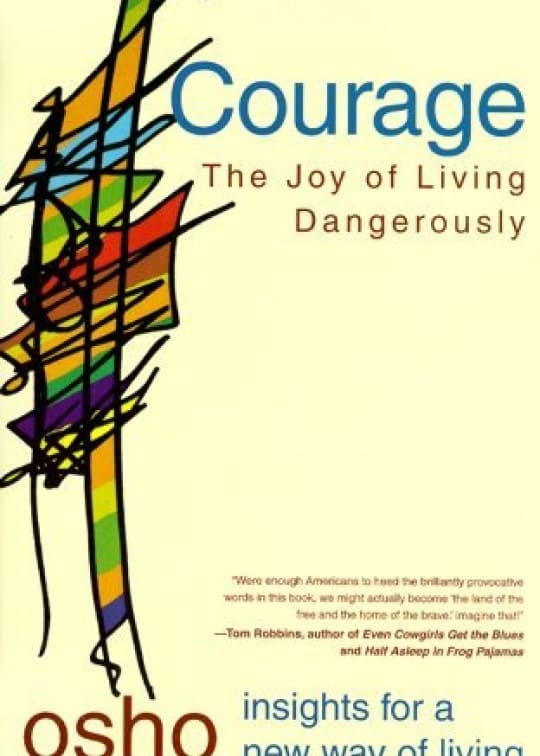 Ảnh bìa sách Dũng Cảm - Vui Sống Hiểm Nguy