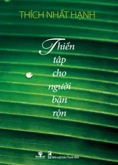 Thiền Tập Cho Người Bận Rộn