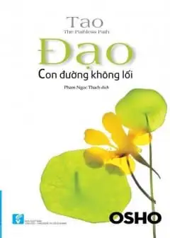 Ảnh Đạo - Con Đường Không Lối