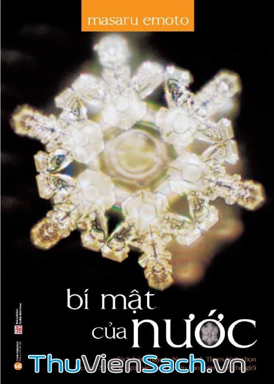 Ảnh bìa sách Bí Mật Của Nước