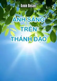 Ảnh Ánh Sáng Trên Thánh Đạo