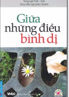 Ảnh Giữa Những Điều Bình Dị