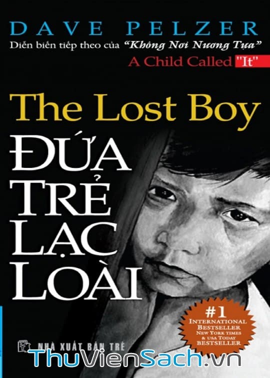 Ảnh bìa sách Đứa Trẻ Lạc Loài