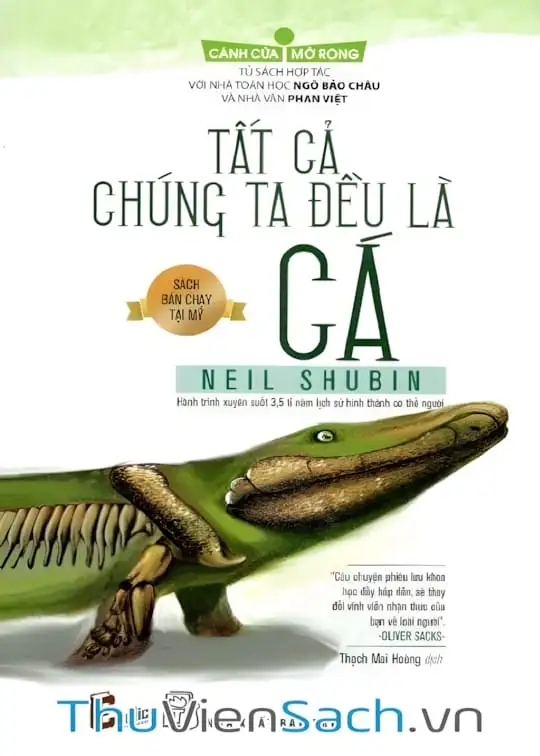 Ảnh bìa sách Tất Cả Chúng Ta Đều Là Cá